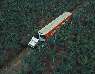 Transporte Cruzbaires